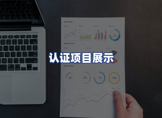认证项目展示
